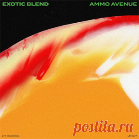 Ammo Avenue - Exotic Blend | 4DJsonline.com