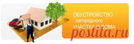 Что такое кислотность почвы, как определить кислотность почвы самостоятельно