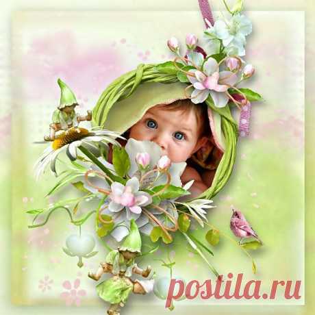Скрап набор Freshly Tender
