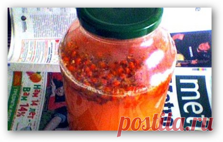 Квас рябиновый