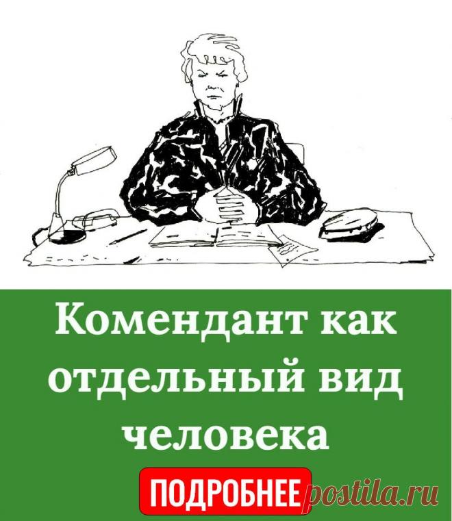 Комендант как отдельный вид человека