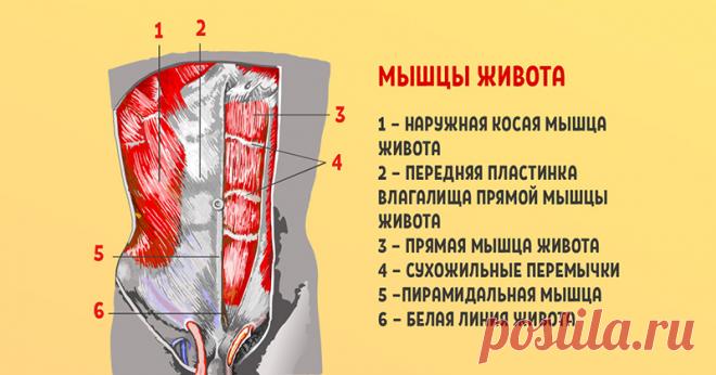 Пилатес для начинающих в домашних условиях