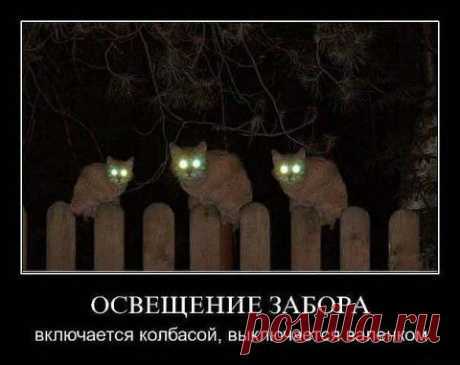 Ура! Пятница! Зверский юмор! | Давай поговорим