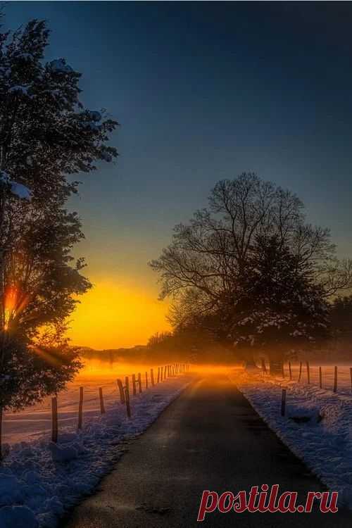 artofnature-9:
“Source :green world
”