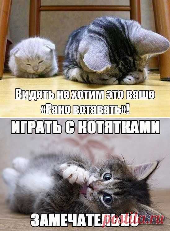 (99) Одноклассники