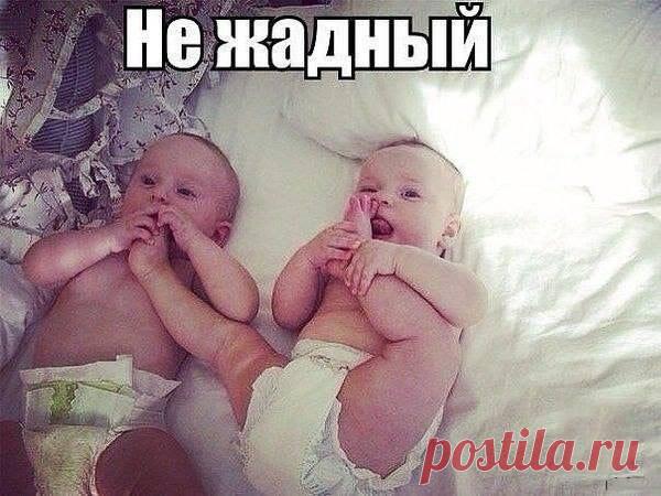 Убойный юмор!