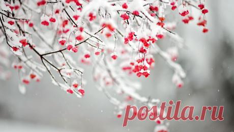 Новые фотографии природа обои.