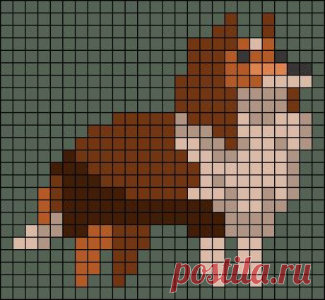 a brown and white dog is standing in front of a black background with squares on it