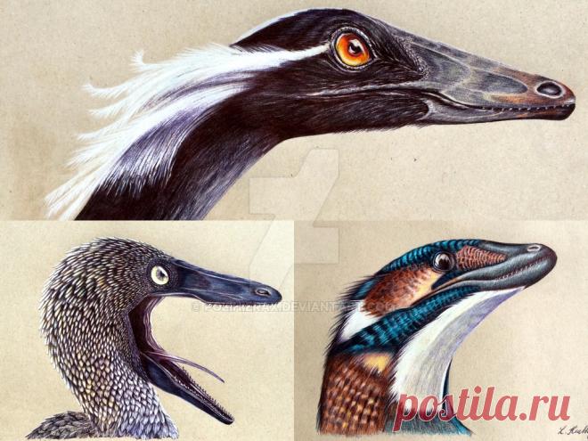 Troodontidae by Polihierax on DeviantArt
