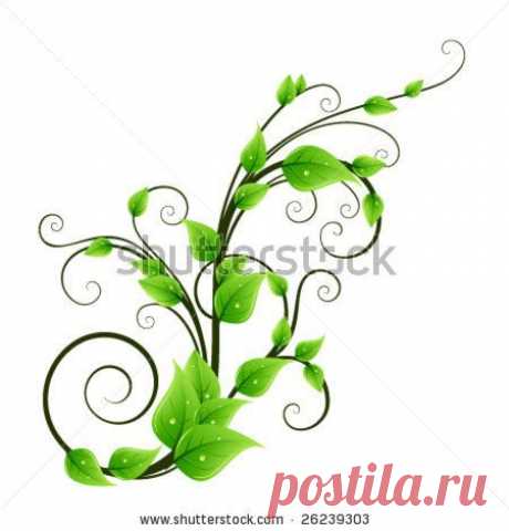 Найдено на сайте flowersphotogallery.blogspot.com.