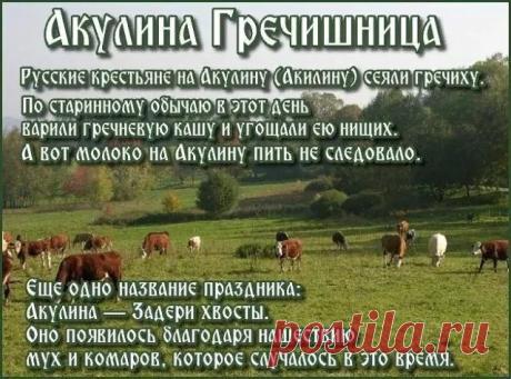 На Акулину гречку щедро насыпай, Всех угощай и стол скорее накрывай. Пусть счастье в дом рекой течет, И радость каждый день приносит этот год! Открытки на Акулина Гречишница!