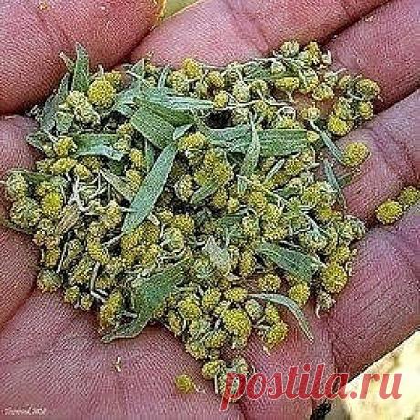(3) Одноклассники
