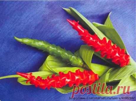 искусство украшения блюд: 10 тыс изображений найдено в Яндекс.Картинках