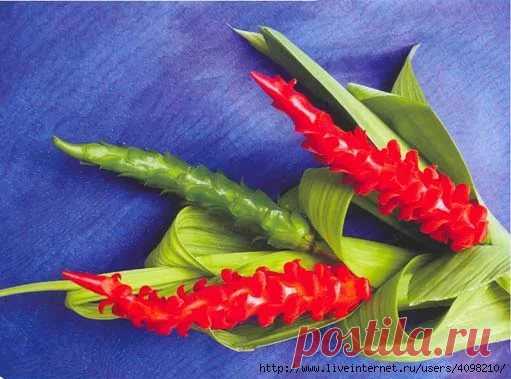 искусство украшения блюд: 10 тыс изображений найдено в Яндекс.Картинках