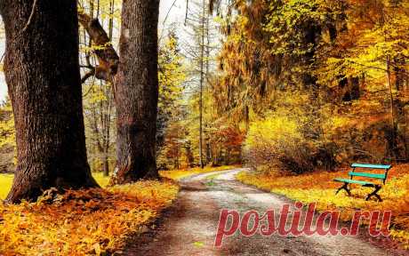 Фото – Google+