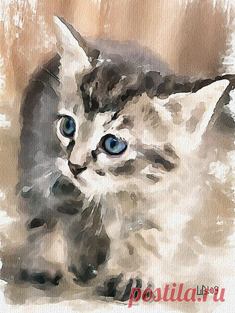 Котеночек)))))))