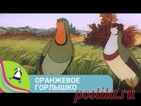 САМЫЙ ЛЮБИМЫЙ МУЛЬТФИЛЬМ! Оранжевое горлышко. Союзмультфильм.
