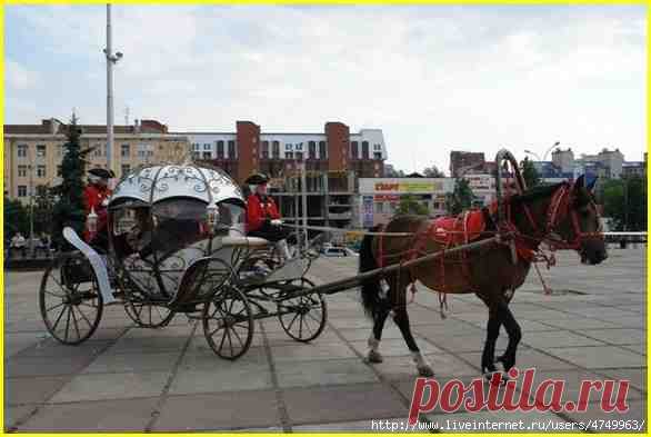 Дневник Ира_Шин