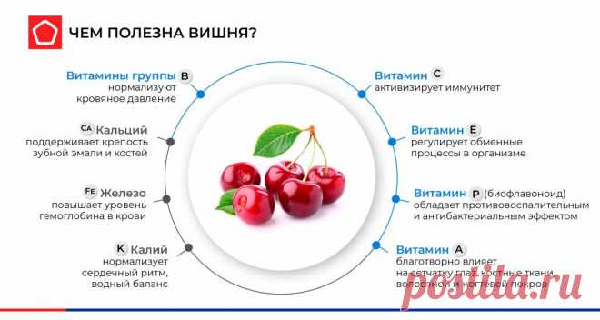 Чем полезна вишня