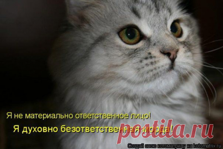 https://postila.ru/
