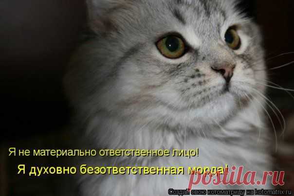 http://postila.ru/