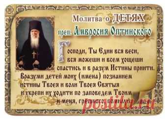 Фитхакер - Публикации