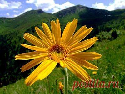 Боли в мышцах. Без таблеток...