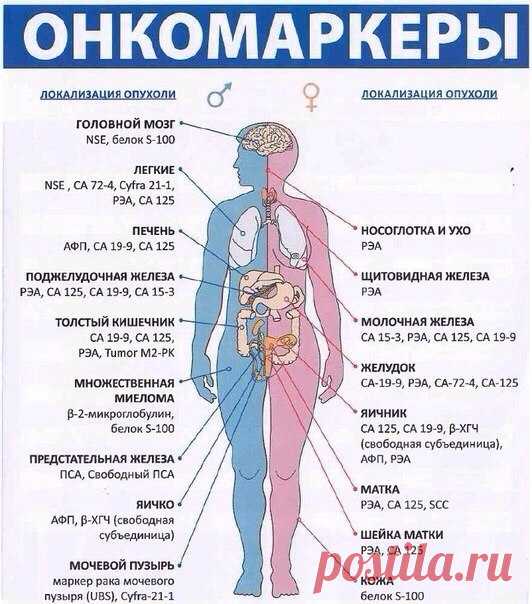 Редактировать описание