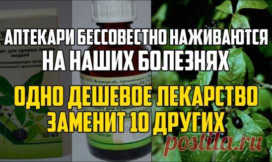 Аптеки бессовестно наживаются на наших болезнях! Одно дешевое лекарство заменит 10 других.
