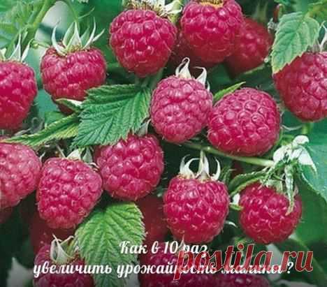 (3) Одноклассники