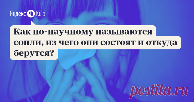 «Как по-научному называются сопли, из чего они состоят и откуда берутся?» – Яндекс.Кью 27 декабря 2019 Александр Табакаев ответил: Сопли формально называются «носовая слизь», а совсем по науке — «муконазальный секрет». Под соплями обычно понимается жидкая носовая слизь, тогда как козюлями называют сухую, хотя нередко эти понятия смешивают. 

Носовая слизь называется муконазальным секретом, так как образуется на слизитой оболочке полости носа, которая иначе называется мукоз...