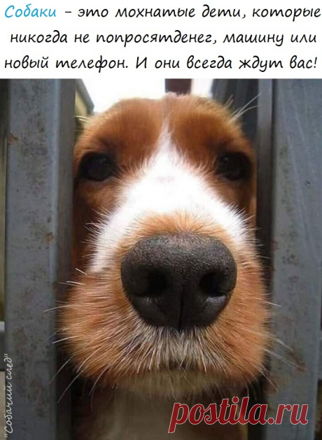 м