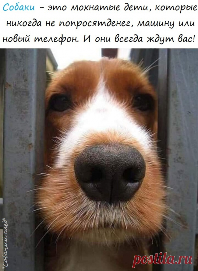 м
