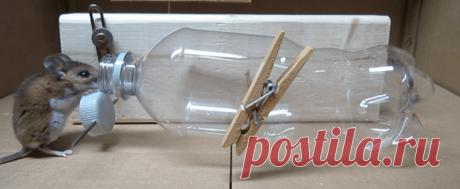 Мышеловка от Chris Notap - OKWOOD