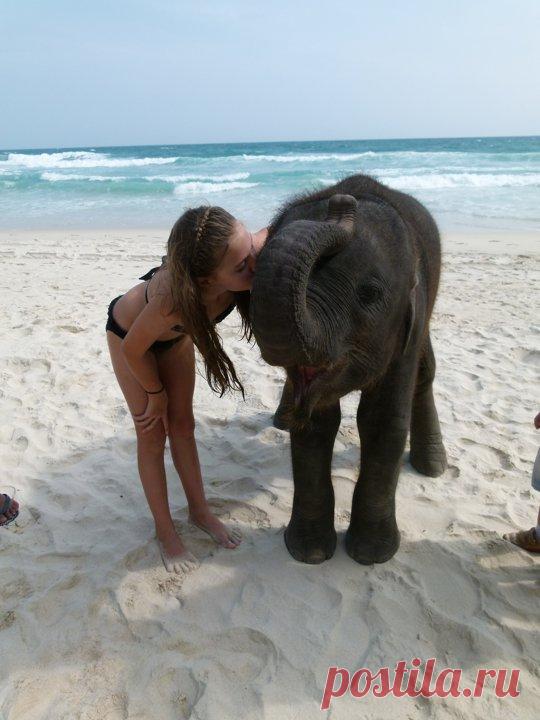 All Creatures Great and Small: Love Liberally