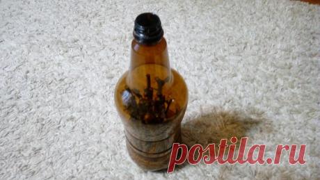 В одной бутылке укореняю зимой в холодильнике до 30 роз. Мой экономичный способ размножения | Маленький сад на краю Вселенной | Яндекс Дзен