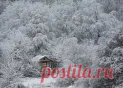 (52) Одноклассники