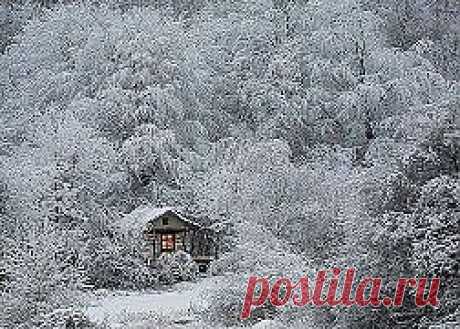 (52) Одноклассники