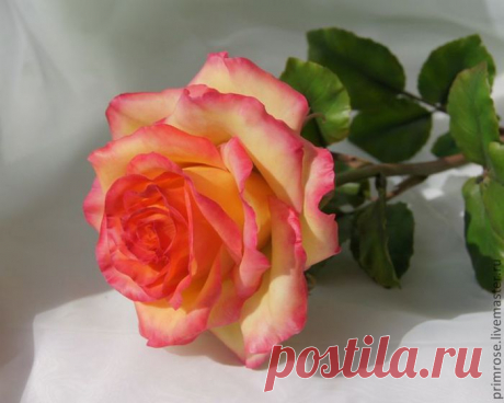РОЗЫ.