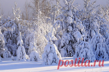 ФОТОМАСТЕРСКАЯ ПРИРОДЫ
Оксана Галлямова(Колесник)