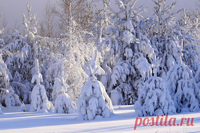 ФОТОМАСТЕРСКАЯ ПРИРОДЫ
Оксана Галлямова(Колесник)