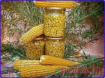 Консервированная кукуруза на зиму