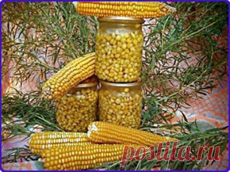 Консервированная кукуруза на зиму