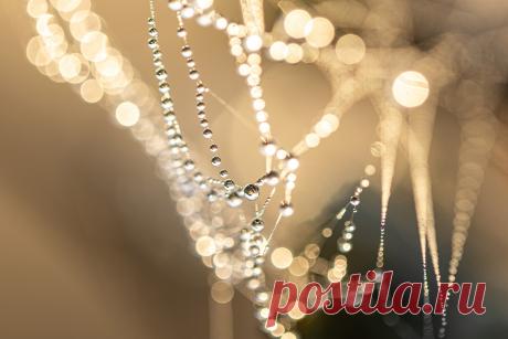 АЛМАЗНАЯ ДОРОГА И КОРОЛЕВСКИЕ ГРАДУСЫ Первые семь градусов знака Стрельца («Алмазная дорога») дают возможность ускоренного личностного роста и интенсивного влияния на судьбы других людей. Если человек не осознает такие возможности и бездействует, он ощущает нереализованной свою жизнь.
Королевские градусы дают человеку испытание счастьем, и важно, чтобы он не растерял подарки судьбы, а укреплял и развивал свои психологические преимущества, помогая другим людям.
Градусы «Алм...