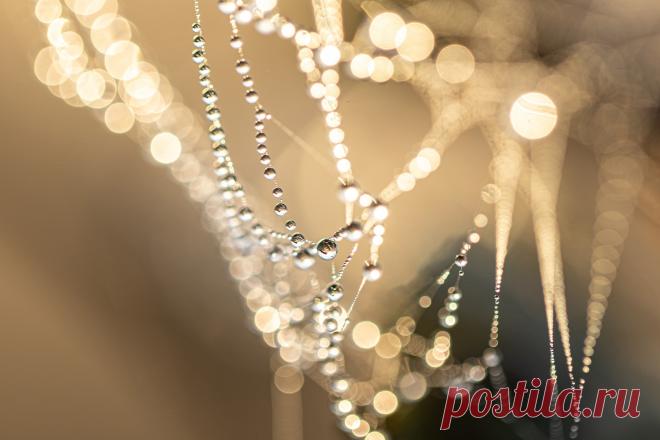 АЛМАЗНАЯ ДОРОГА И КОРОЛЕВСКИЕ ГРАДУСЫ Первые семь градусов знака Стрельца («Алмазная дорога») дают возможность ускоренного личностного роста и интенсивного влияния на судьбы других людей. Если человек не осознает такие возможности и бездействует, он ощущает нереализованной свою жизнь.
Королевские градусы дают человеку испытание счастьем, и важно, чтобы он не растерял подарки судьбы, а укреплял и развивал свои психологические преимущества, помогая другим людям.
Градусы «Алм...