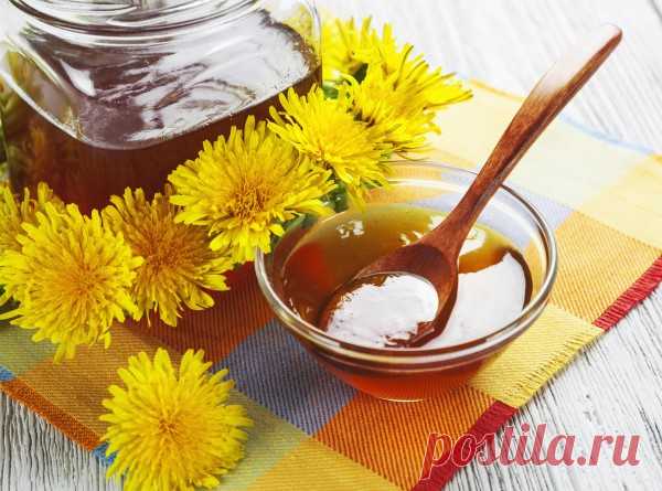 Вкусные рецепты