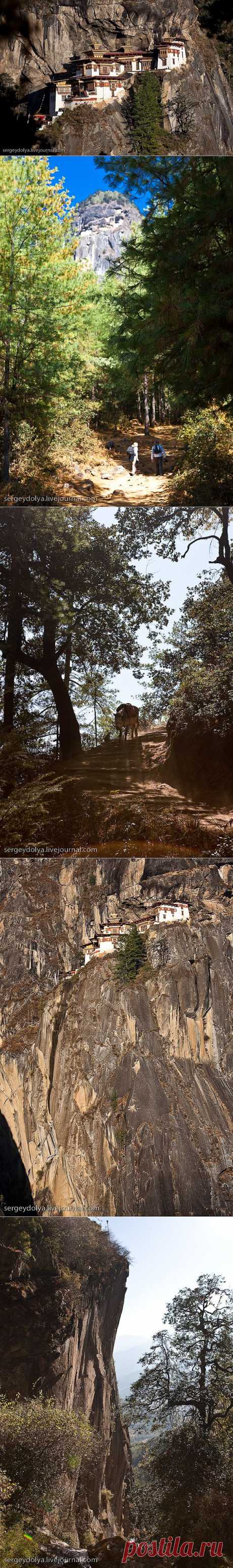 Бутан. Гнездо Тигрицы. | МУЗА НАШЕГО ДВОРА