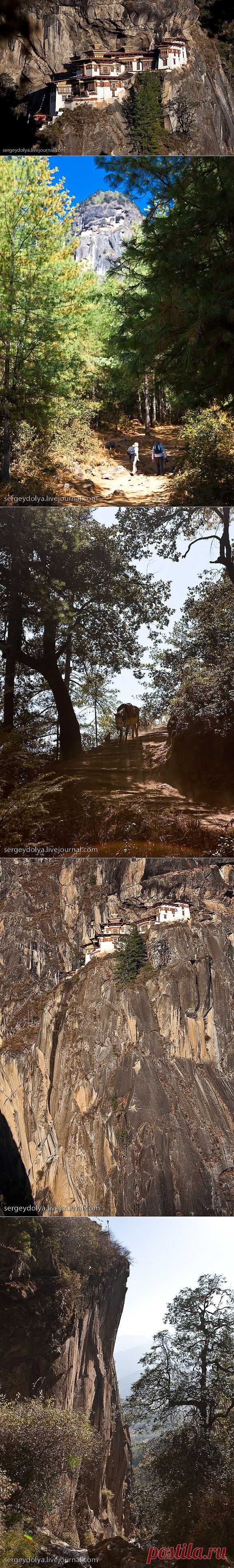Бутан. Гнездо Тигрицы. | МУЗА НАШЕГО ДВОРА