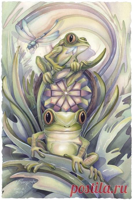 Frogs by Jody bergsma | animals - frogs