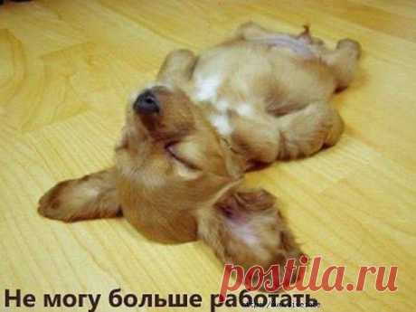 &quot;Работа-работа! Перейди на Федота!
С Федота на Якова! А там уже - на всякого!&quot;